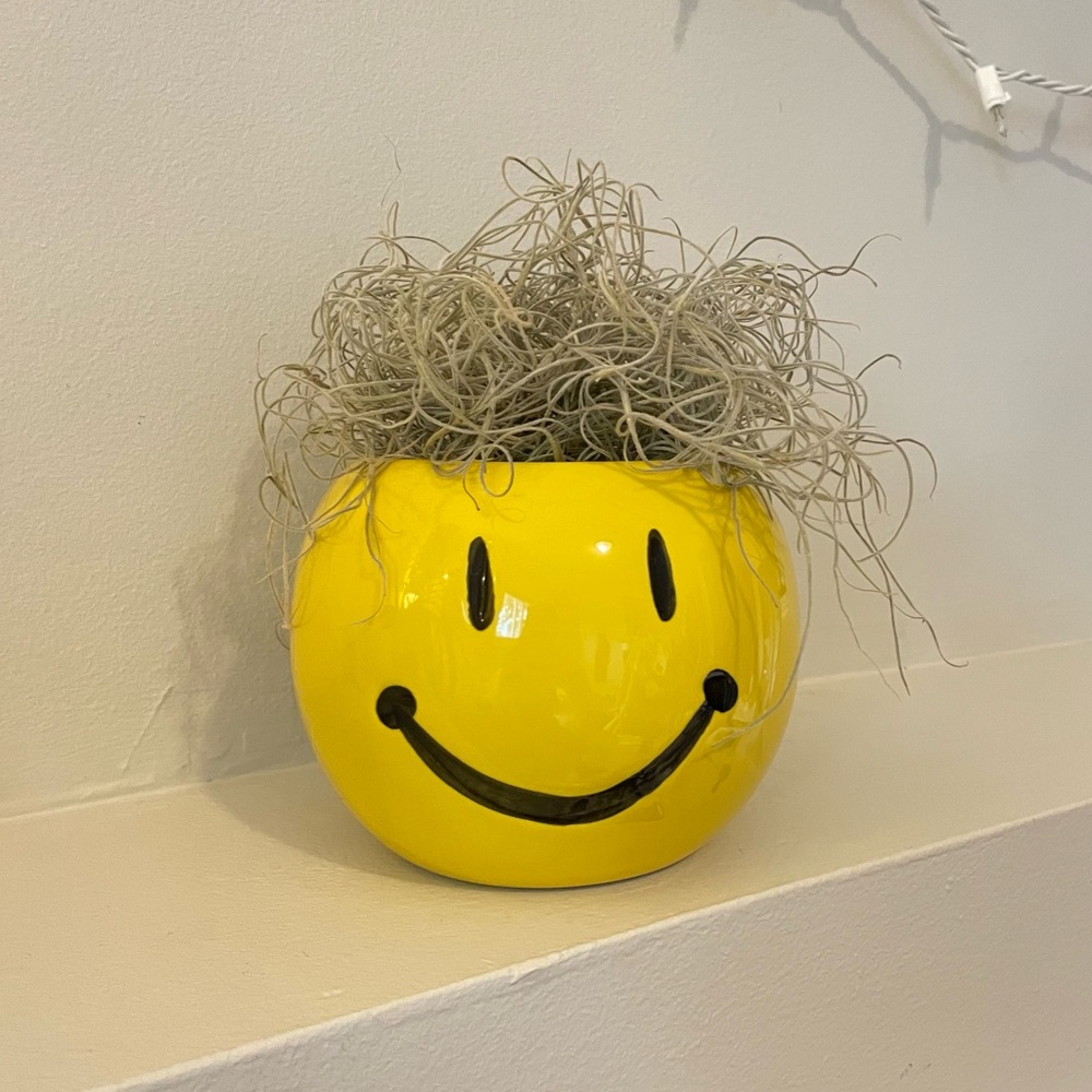 Smily Face Planter